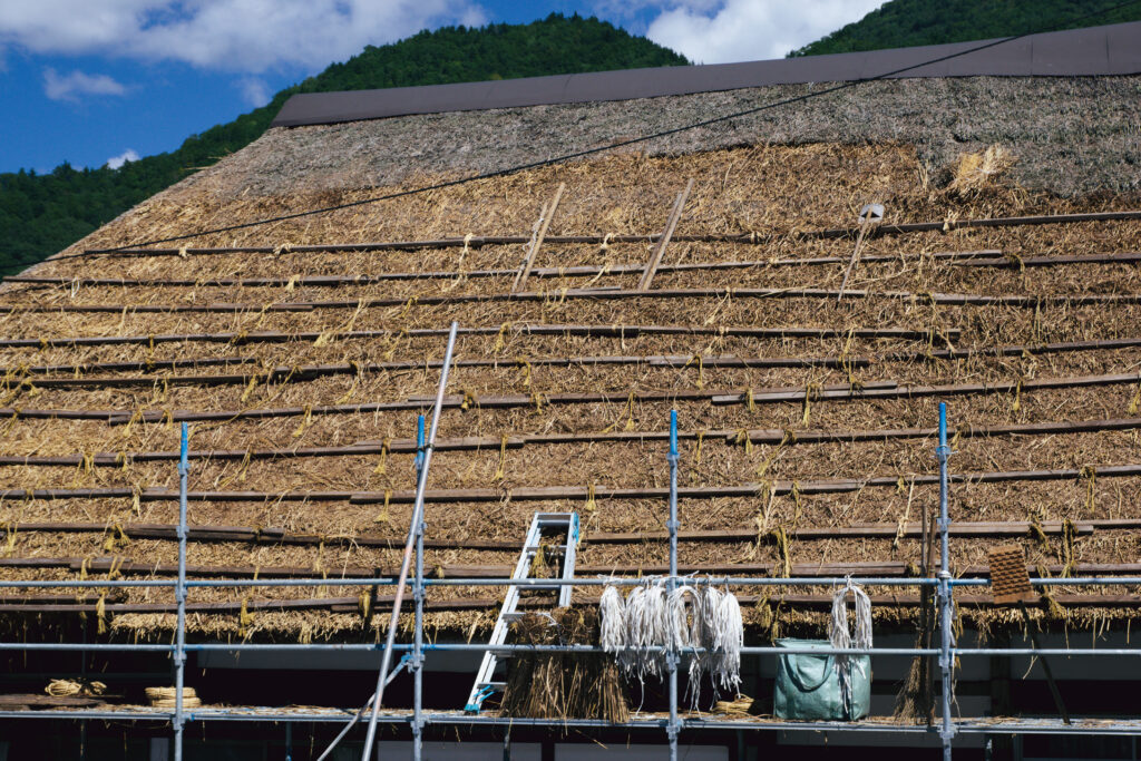 Thatching Surveys